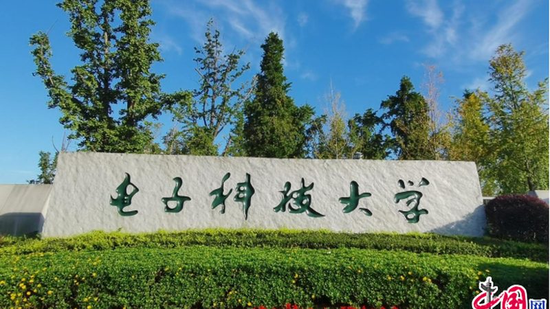 东莞二极管加工定制：揭秘其核心工艺与关键要素**